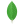 MongoDB
