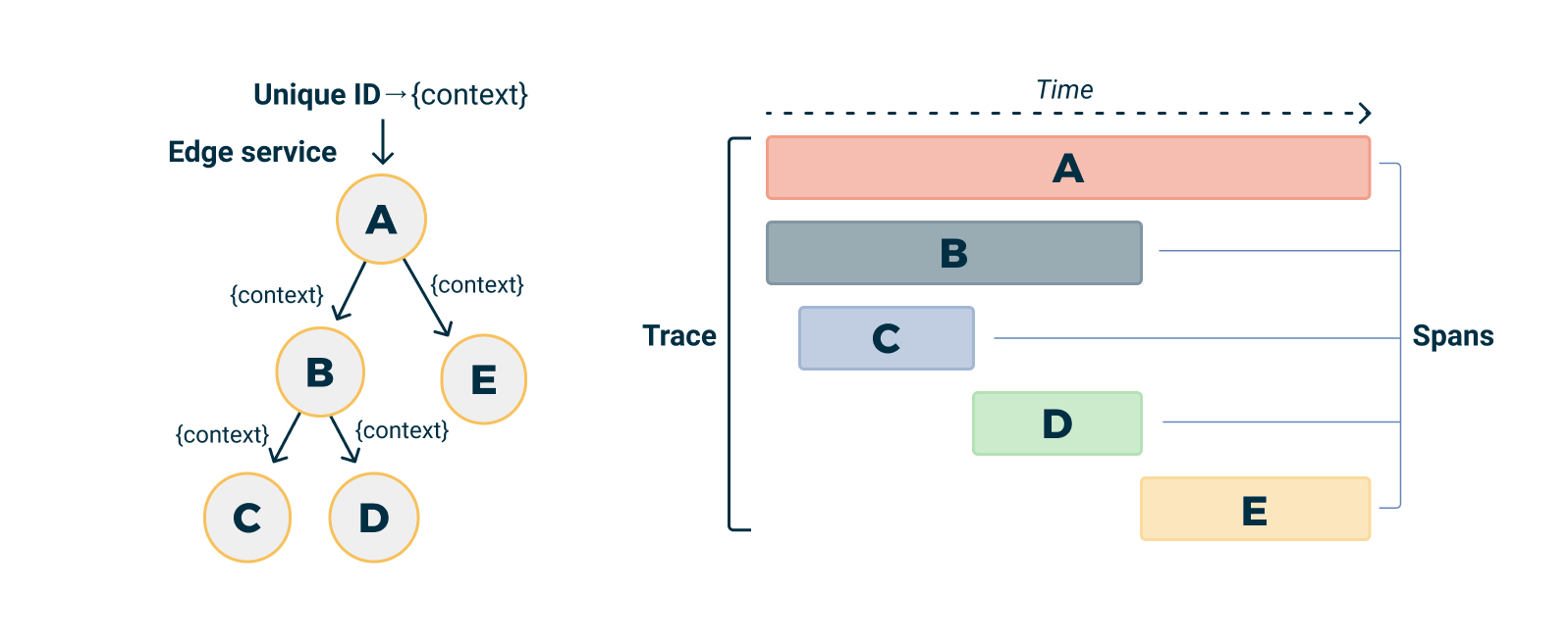 Trace Anatomy